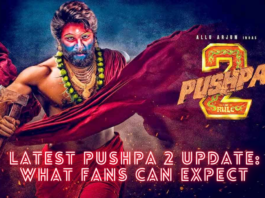 Pushpa 2 Update